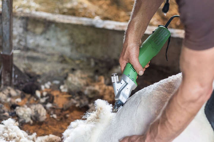 KERBL Schafschermaschine constanta4